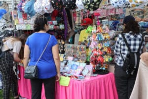 Vendors at Beeton Fair