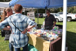 Vendors at Beeton Fair